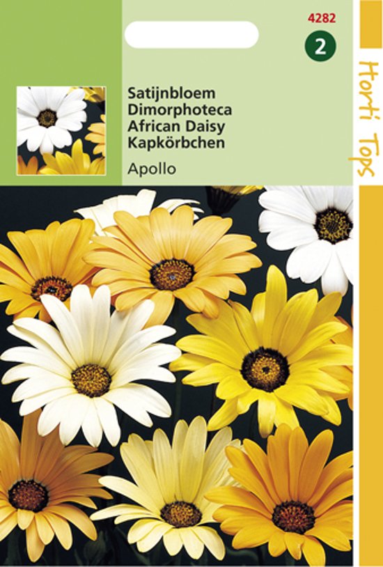 Satijnbloem Apollo Mix (dimorphotheca) 200 zaden